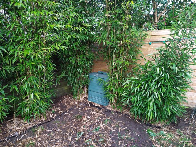 WhatsApp Image 2022-02-19 at 09.27.25(2)