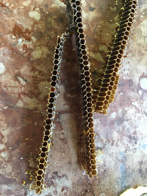 FD5B9B3E-DACF-4B00-9D9C-A31B64113F3D