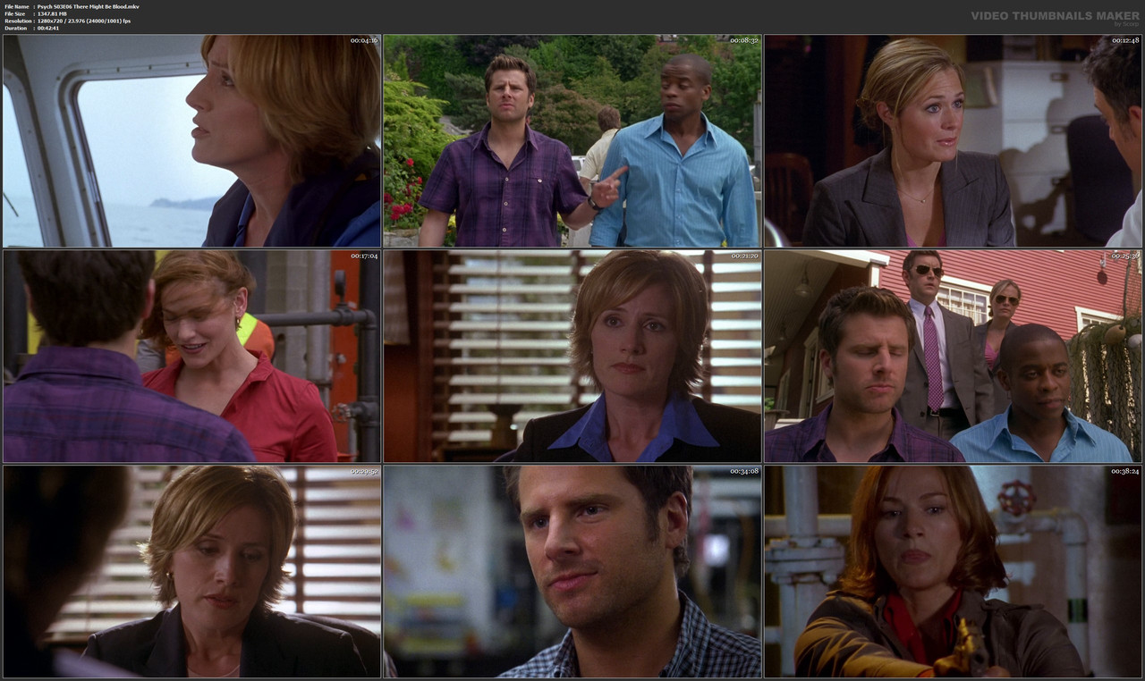 Psych S03E06 There Might Be Blood.mkv
