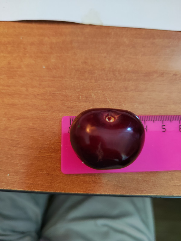 1718629651855.jpg