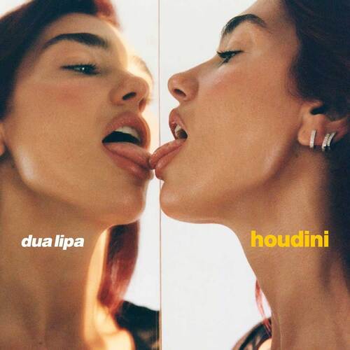 Dua_Lipa_-_Houdini_(Single)_(2023)_Mp3.jpg