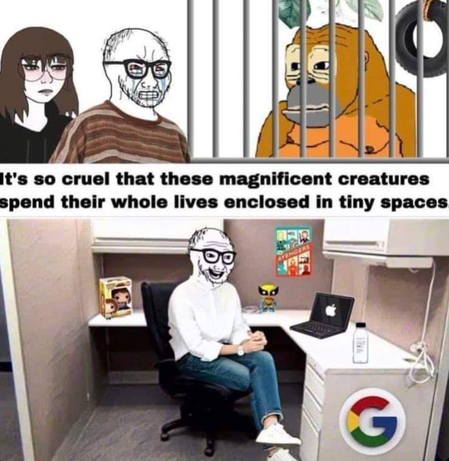 1655254448197.png