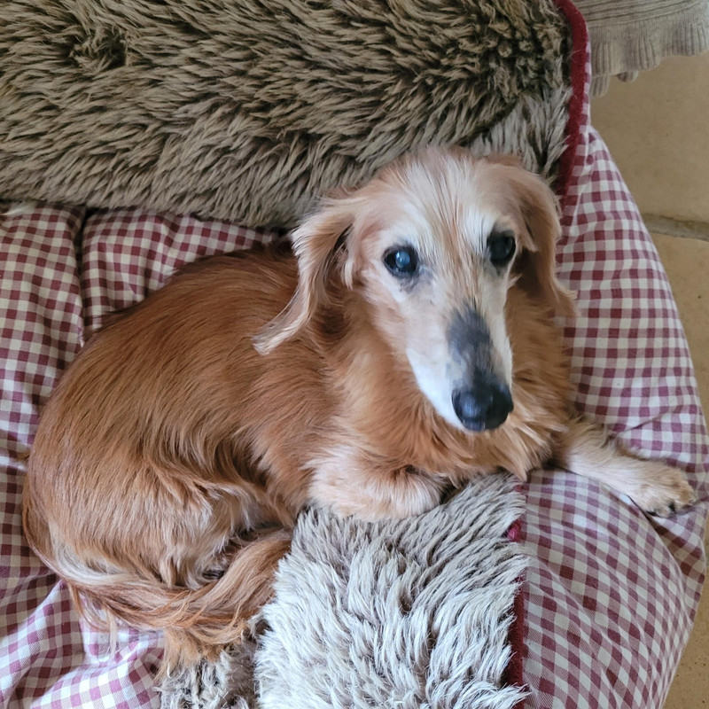 [Image: Donovan-Maurice-2024-1.jpg]