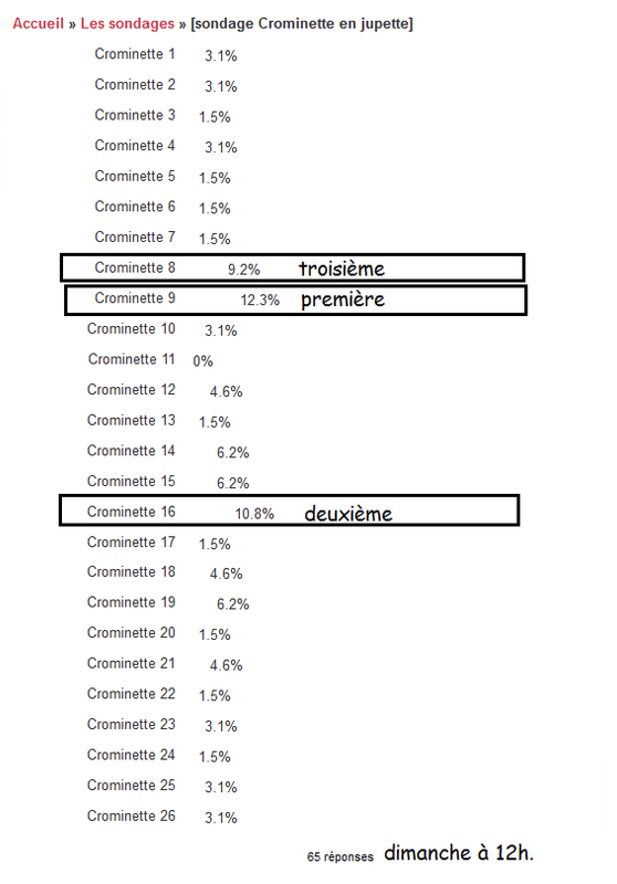 https://i.postimg.cc/ZnyzPTJ6/Sondage.png