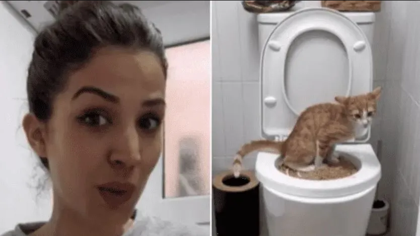 Tiktoker muestra cómo le enseñó a su gato a usar el inodoro