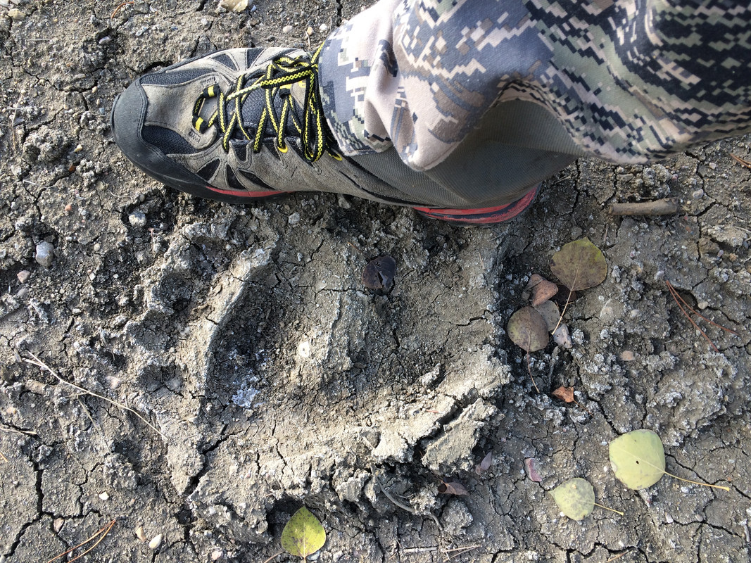 58659762-D4FA-4905-9FFB-C812193E6C5F