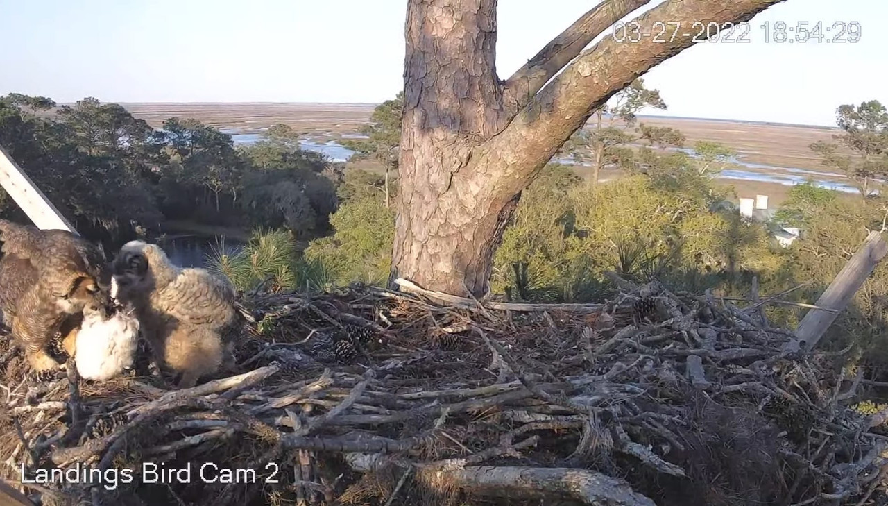 WhatsApp Image 2022-03-29 at 10.18.57 PM (2)