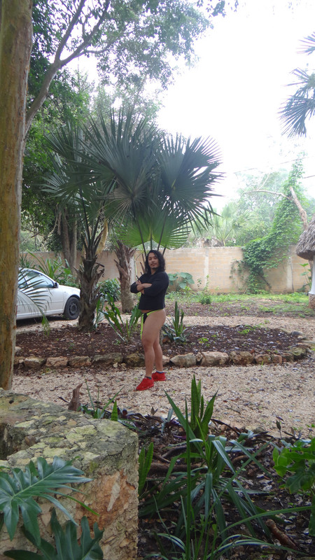 DSC00934