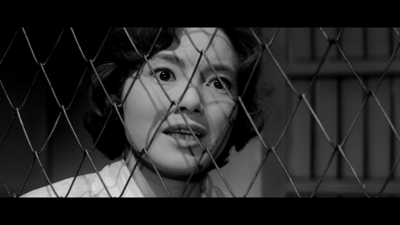 vlcsnap-2025-07-13-02h49m14s923