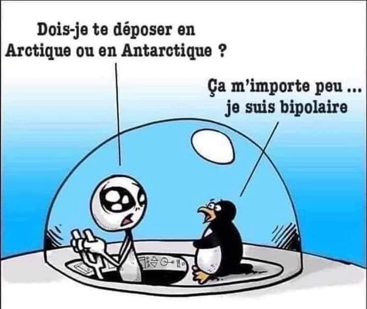 text alternatif