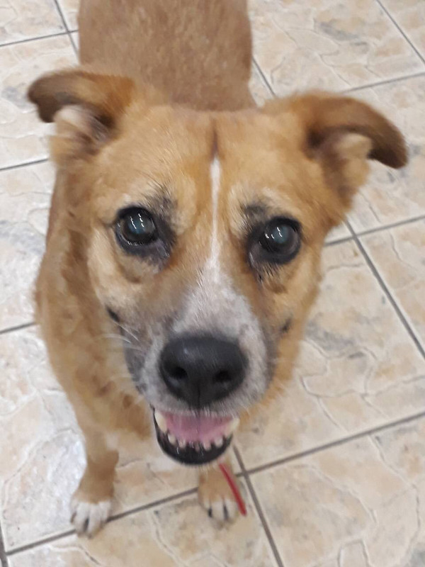 2AAA1F90-B998-44D9-89F6-79749F13ABB7