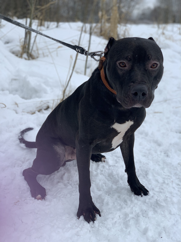 358767CD-5147-4983-B371-63328FCC11BB