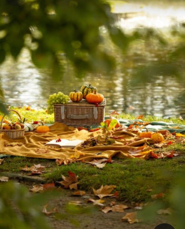 Screenshot_20231222_180155_Pinterest