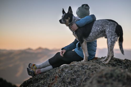 Buy Pet Food Container Online