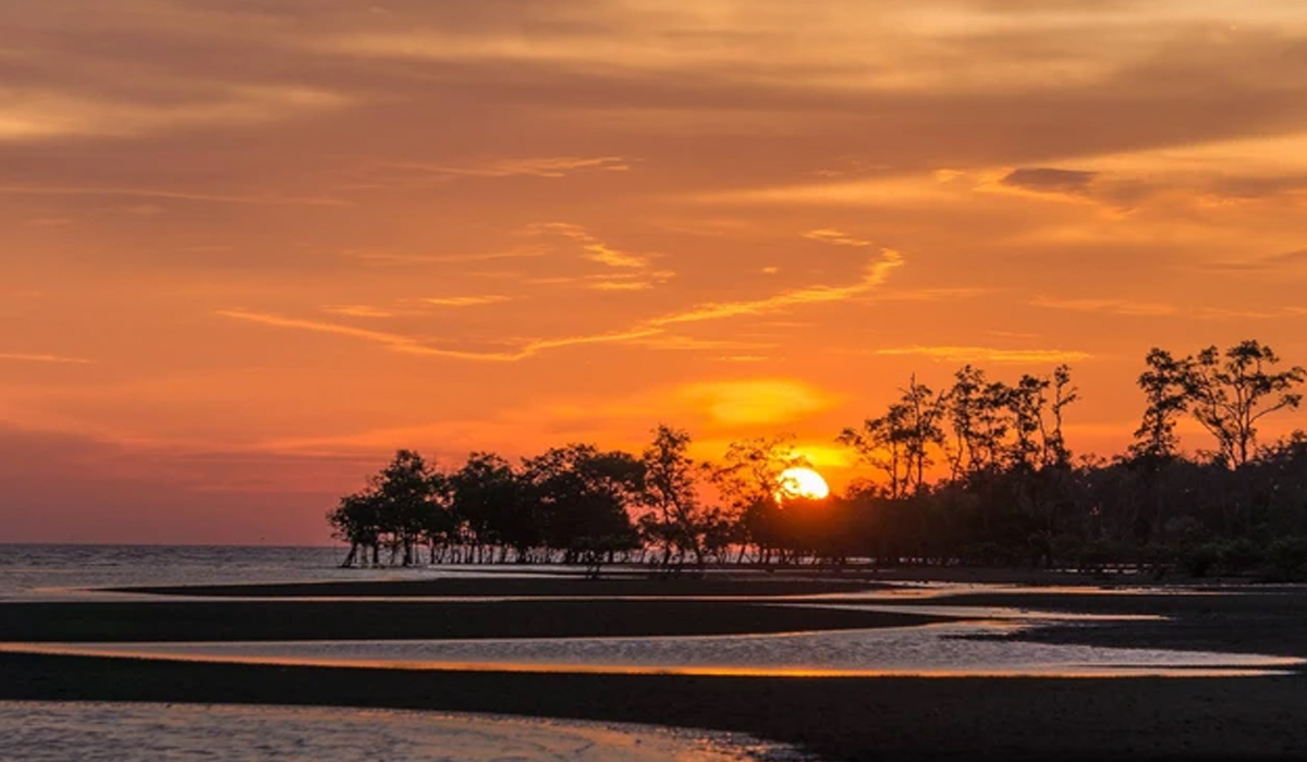 Aktivitas Seru yang Bisa Dilakukan