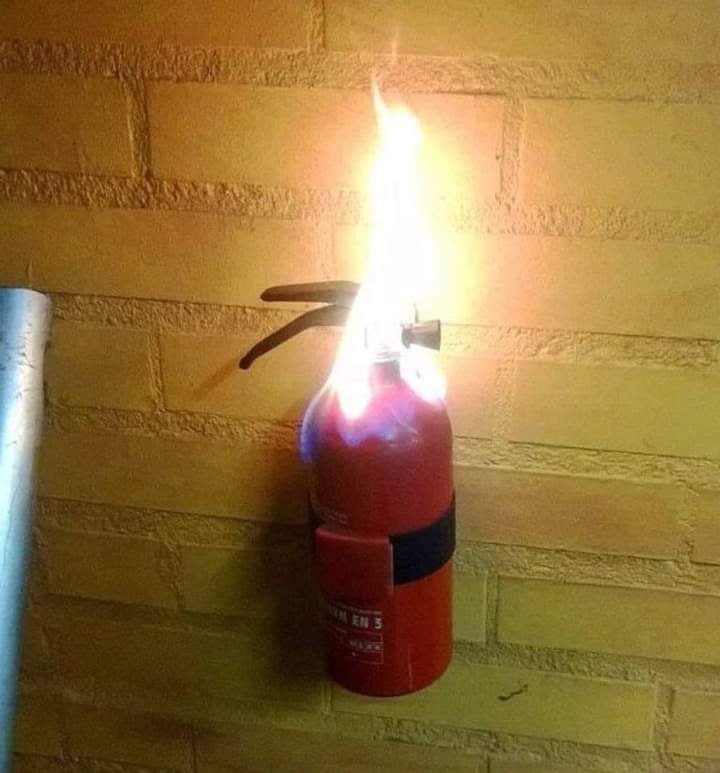 [Obrazek: received-3048942068758792.jpg]