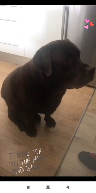 Screenshot_2019-09-01-15-00-43-862_com.instagram.android