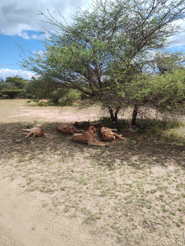 IMG_20250614_142823270