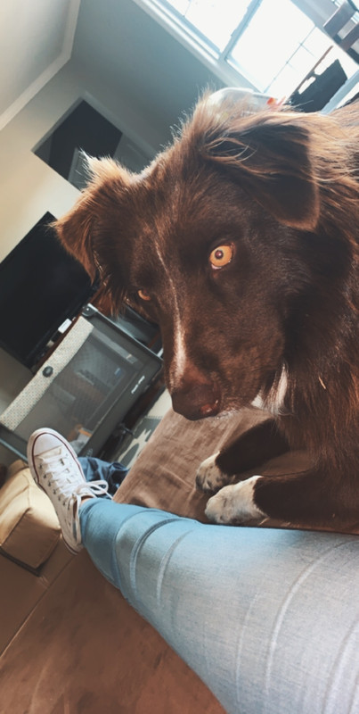 5671827B-0706-4C34-8354-B4BCE569CF6A