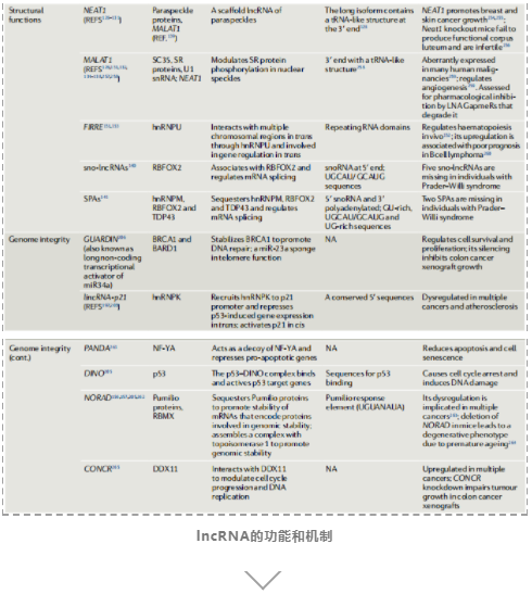 lncRNAs的基因调控及其生物学功能-4.png