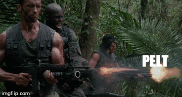 IMG-0089.gif