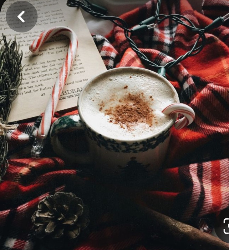 Screenshot_20231120_225653_Pinterest