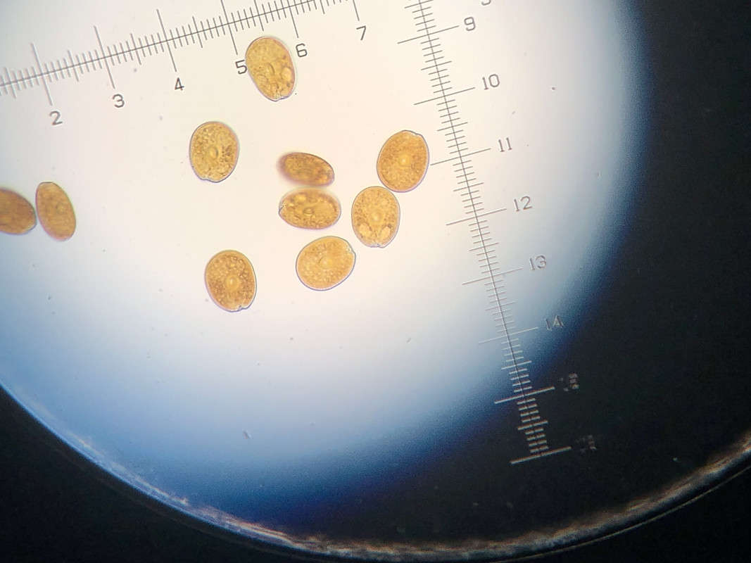 6AA019C5-6C39-4430-B704-621EC9088419