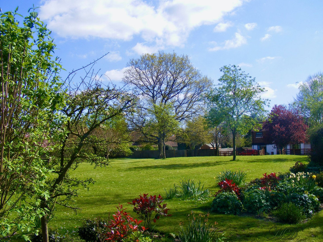 green-grass-datchworth-lane-pub-HD.jpg