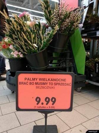 humor.jpg
