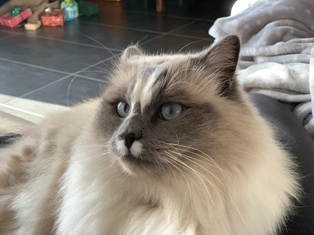 5AC38B27-0581-432F-B18A-7ECBA9371B56