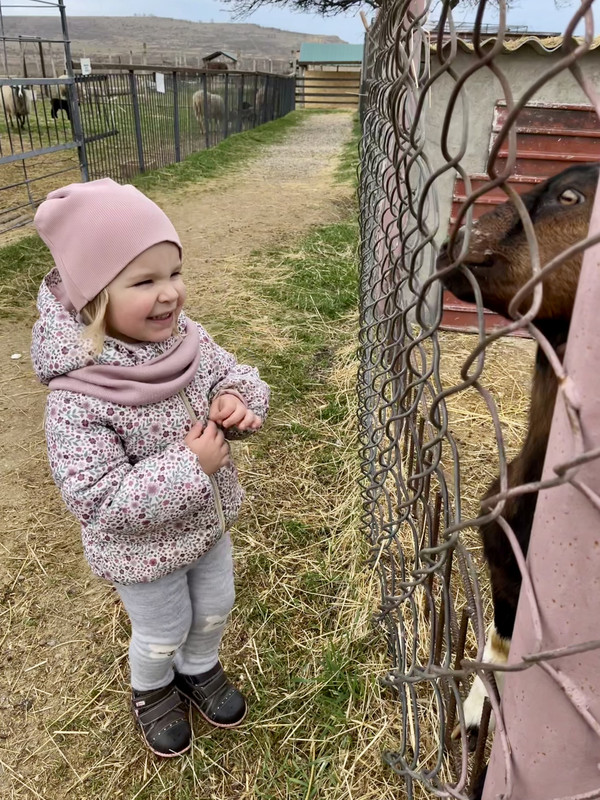 5B5E92A2-F44B-45AB-84B7-E095FF613364