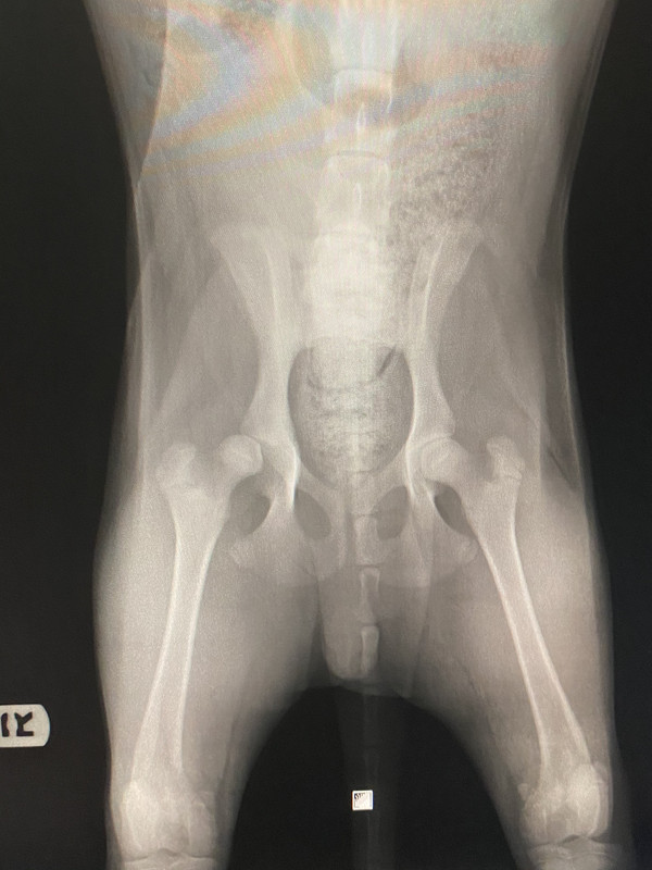 25B1C2EA-B7C1-4F00-B0FC-097761A93495