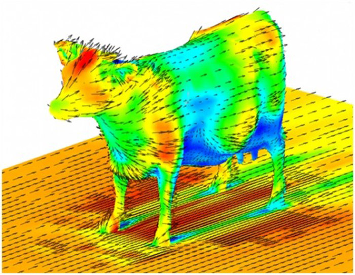https://i.postimg.cc/Zq3LrJLp/u-https-aviationhumor-net-wp-content-uploads-2019-05-Aerodynamics-of-a-cow.jpg