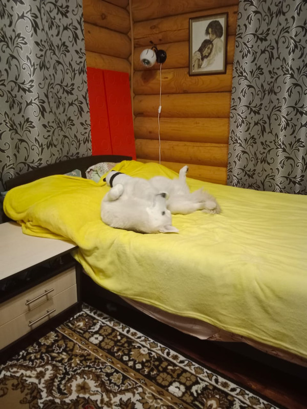 C9EF21C4-AB75-487A-ADFB-4C13C847CE90