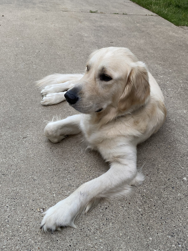 71073047819__A25B7CF8-4EC8-432B-80D3-AA814B857472