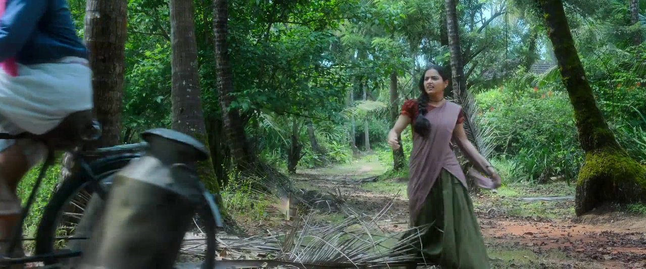 vlcsnap 2026 02 14 09h29m57s415