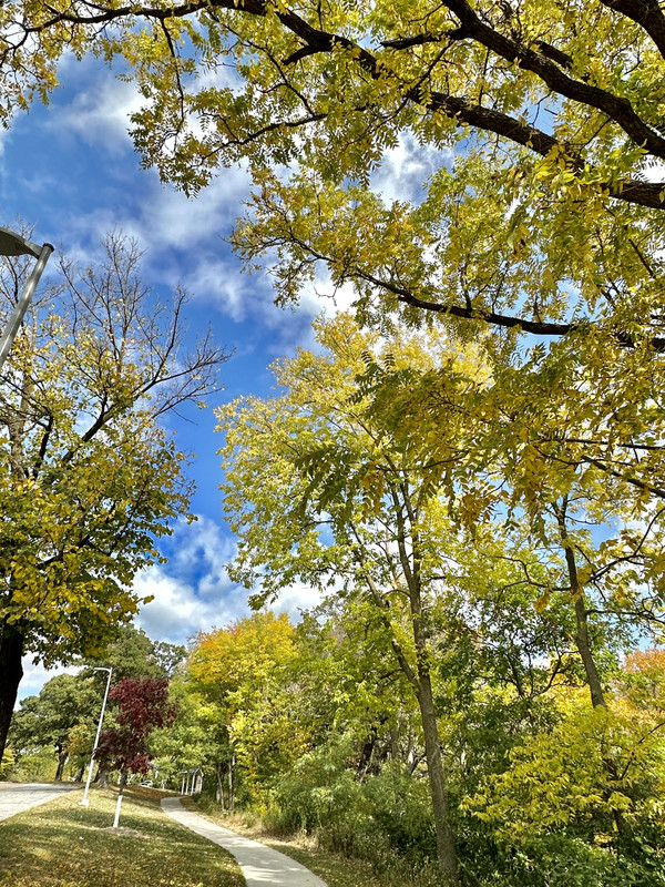 C75EE302-346E-44BF-9678-F3F7BB24D8E1