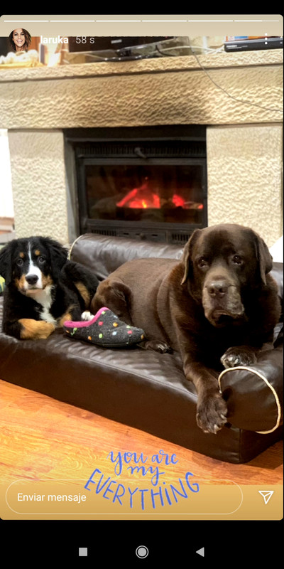 Screenshot_2020-12-23-21-42-23-760_com.instagram.android