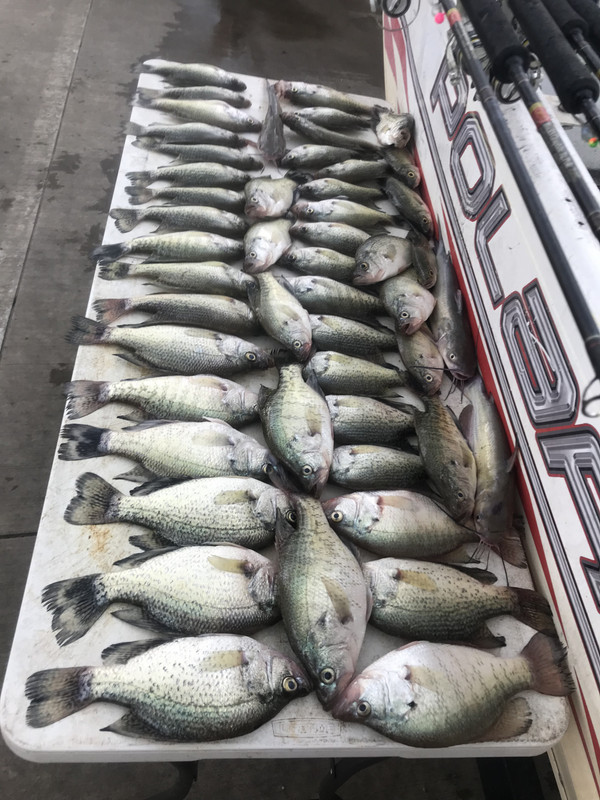 00B48C40-0A43-4800-B679-C69A1CF56FC1