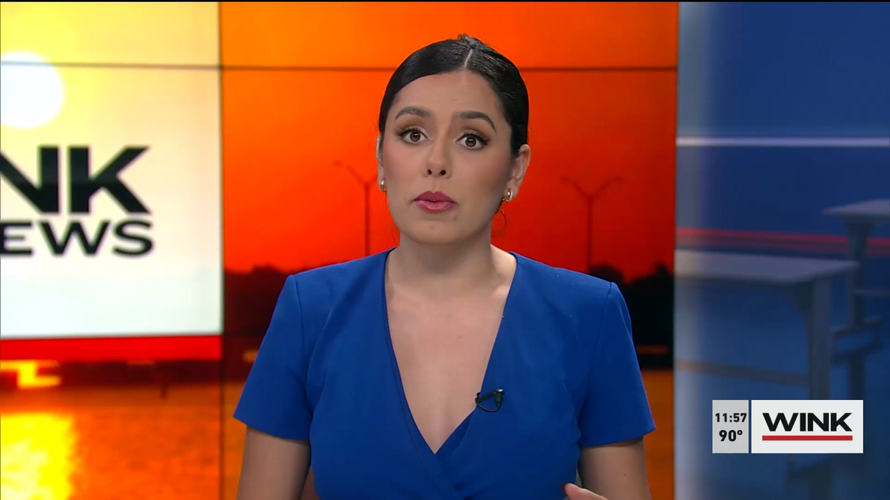 07.23 - 16.30.00 - WINK NEWS at 11 30am. Midday news..ts_snapshot_33.34.606