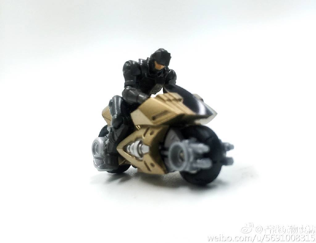 13305151_1029060780513664_5537911684606862800_o