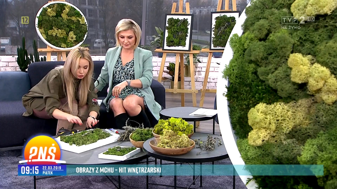 2019-03-22 21 53 49 (2)