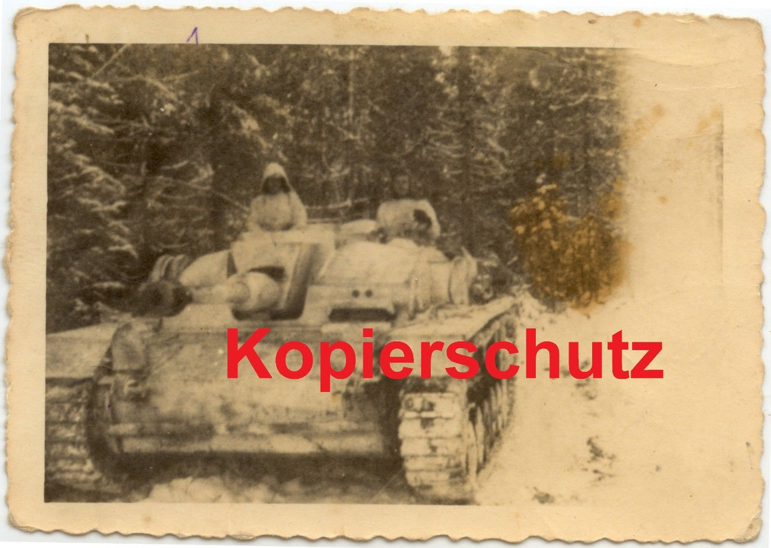 Orig. Fotos Sturmgeschütz-Abt. GD Elite Ordensve