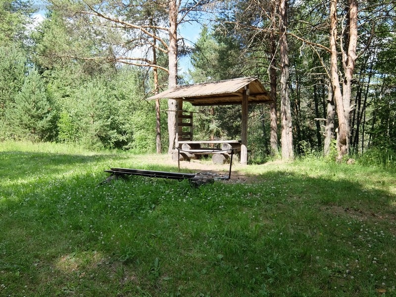DSCF8849