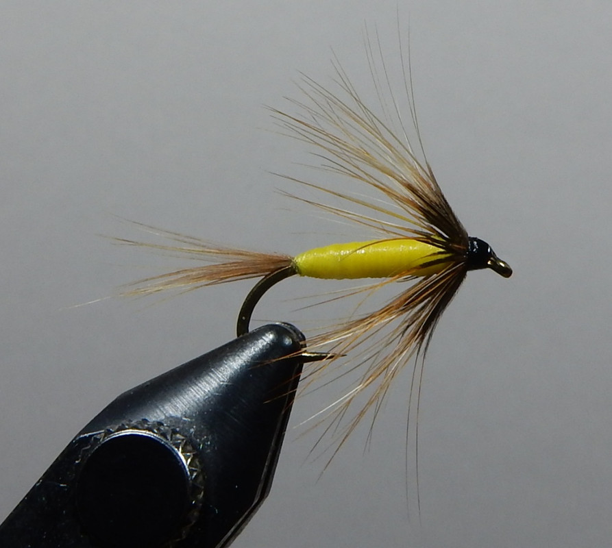 Yellow-Sprite-1080.jpg