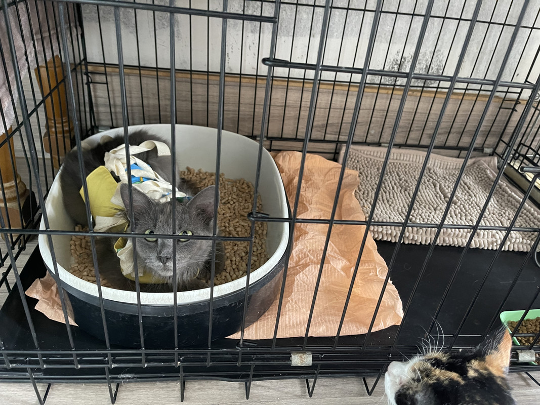 8757B453-EC42-4A72-BA52-F9FFD215606F