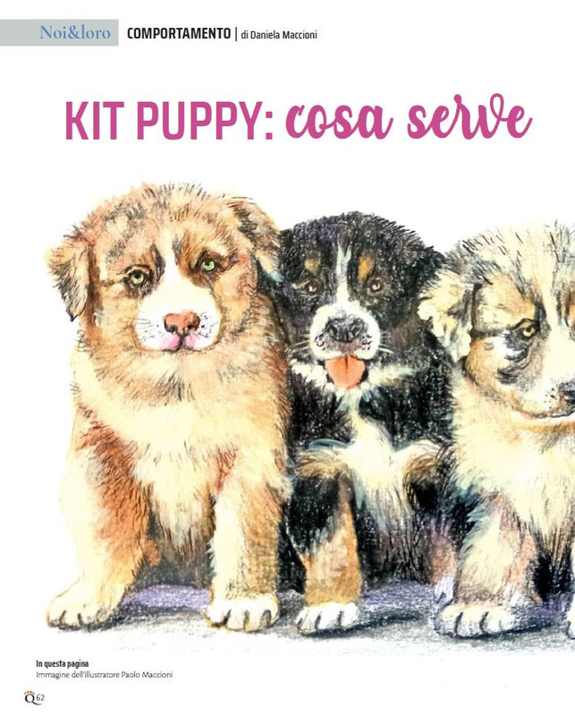 QuattroZampe Set 2022 (5)