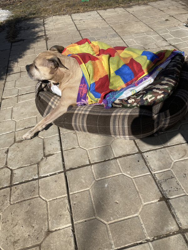 BD227270-6C39-4646-8B78-4C27A30F7A4F