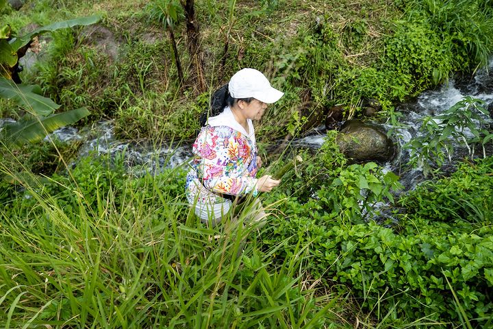 Potret Ketua DPR RI, Puan Maharani tampak asyik trekking menjelajahi keindahan alam di kawasan wisata populer Jogja.