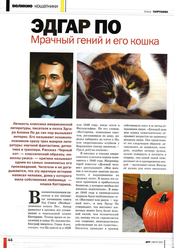 Друг кошек 2007-08-43